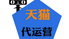 天貓代運(yùn)營(yíng)服務(wù)-為產(chǎn)品代言，就找豆丁褒